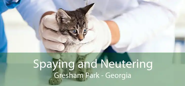 Spaying and Neutering Gresham Park - Georgia