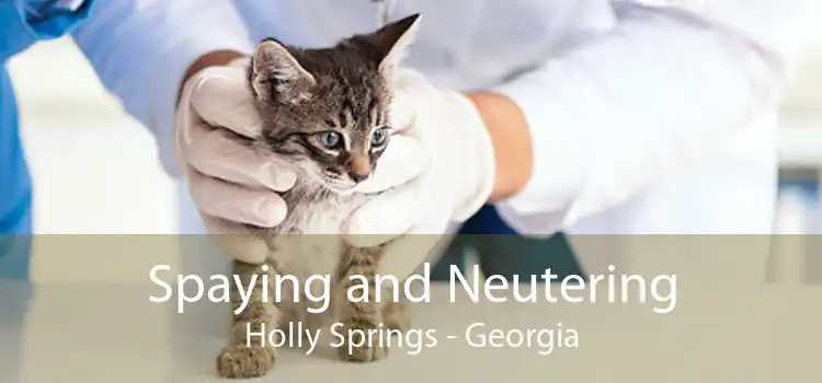Spaying and Neutering Holly Springs - Georgia