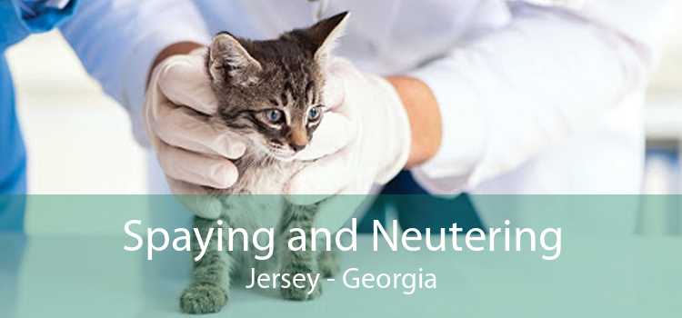 Spaying and Neutering Jersey - Georgia