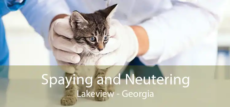 Spaying and Neutering Lakeview - Georgia