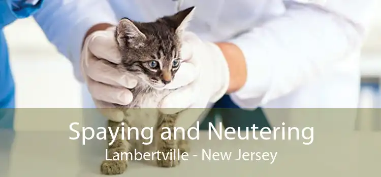 Spaying and Neutering Lambertville - New Jersey