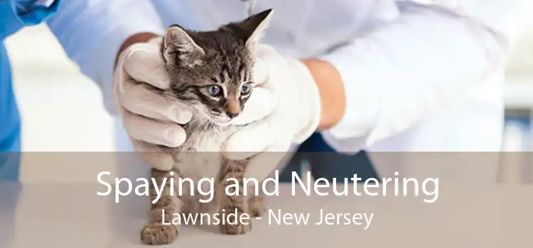 Spaying and Neutering Lawnside - New Jersey