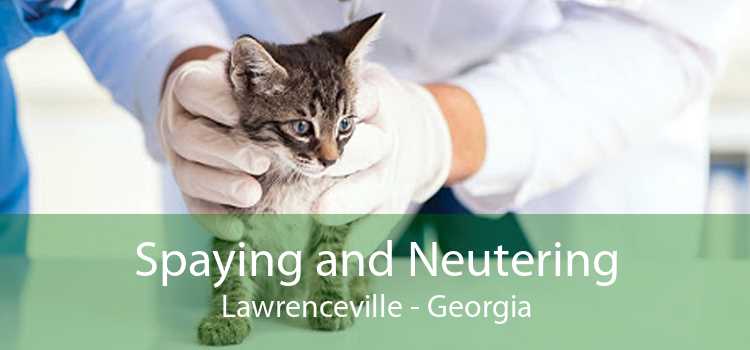 Spaying and Neutering Lawrenceville - Georgia