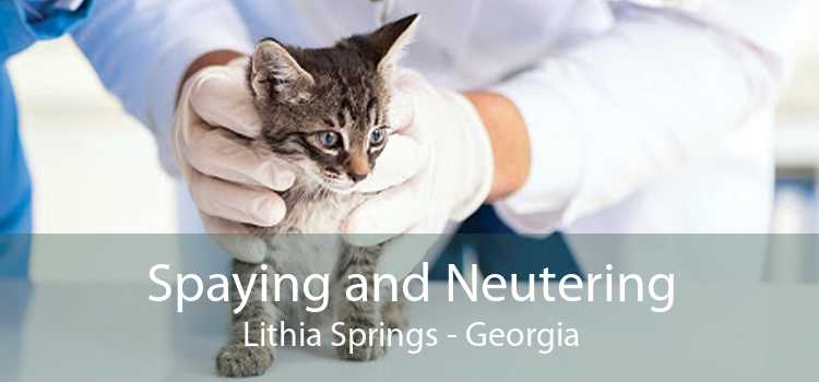 Spaying and Neutering Lithia Springs - Georgia