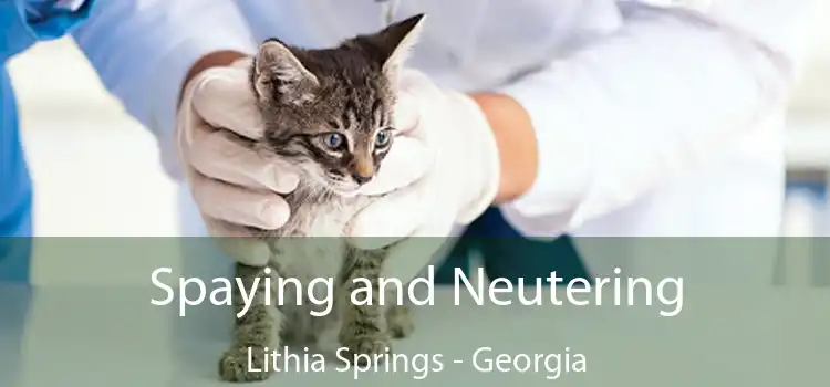 Spaying and Neutering Lithia Springs - Georgia