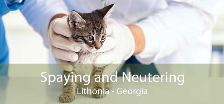 Spaying and Neutering Lithonia - Georgia