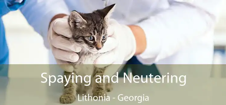 Spaying and Neutering Lithonia - Georgia
