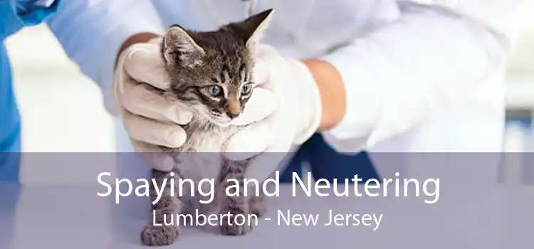 Spaying and Neutering Lumberton - New Jersey