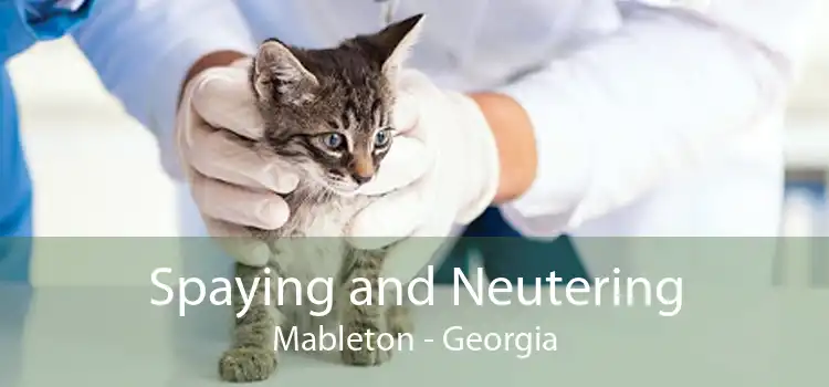 Spaying and Neutering Mableton - Georgia