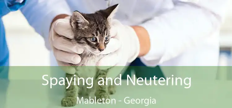 Spaying and Neutering Mableton - Georgia