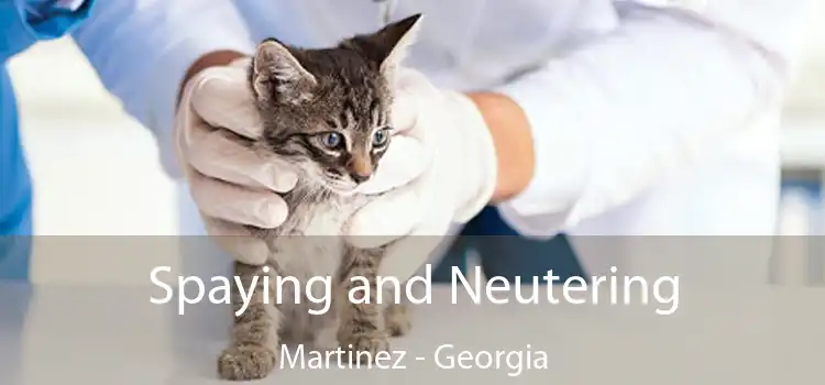 Spaying and Neutering Martinez - Georgia