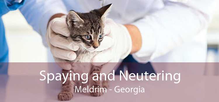 Spaying and Neutering Meldrim - Georgia