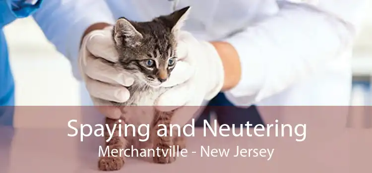 Spaying and Neutering Merchantville - New Jersey