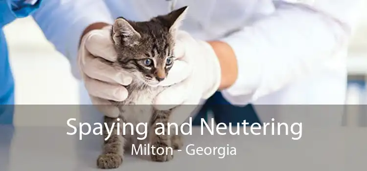 Spaying and Neutering Milton - Georgia