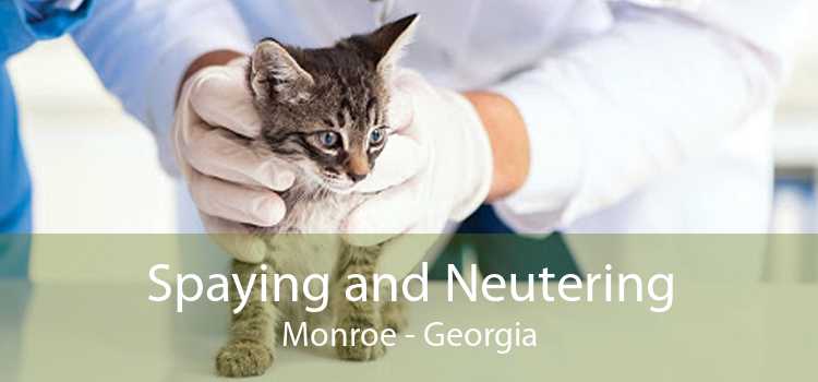 Spaying and Neutering Monroe - Georgia