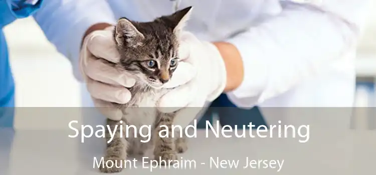 Spaying and Neutering Mount Ephraim - New Jersey