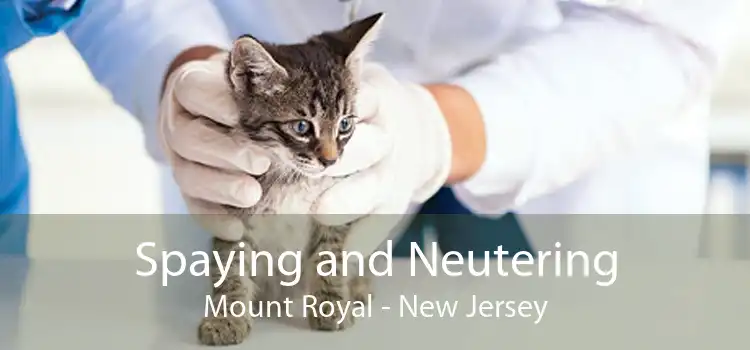Spaying and Neutering Mount Royal - New Jersey
