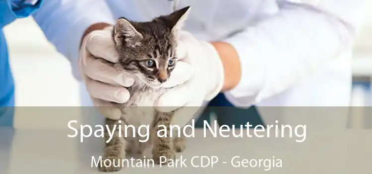 Spaying and Neutering Mountain Park CDP - Georgia