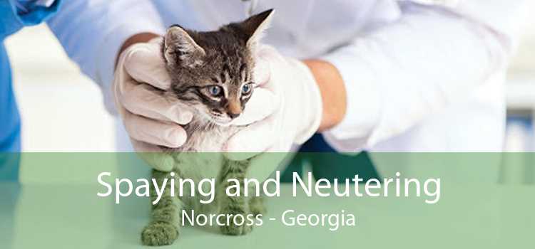 Spaying and Neutering Norcross - Georgia