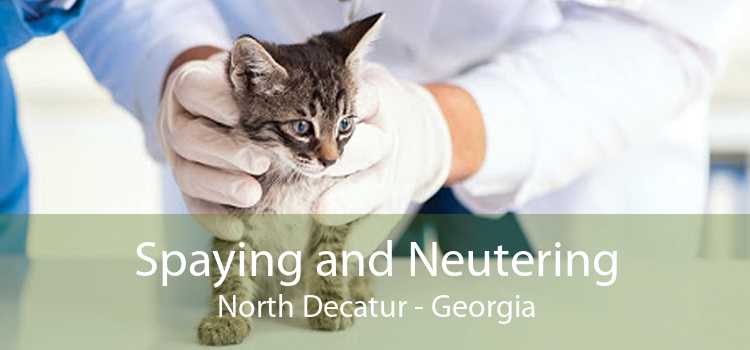 Spaying and Neutering North Decatur - Georgia