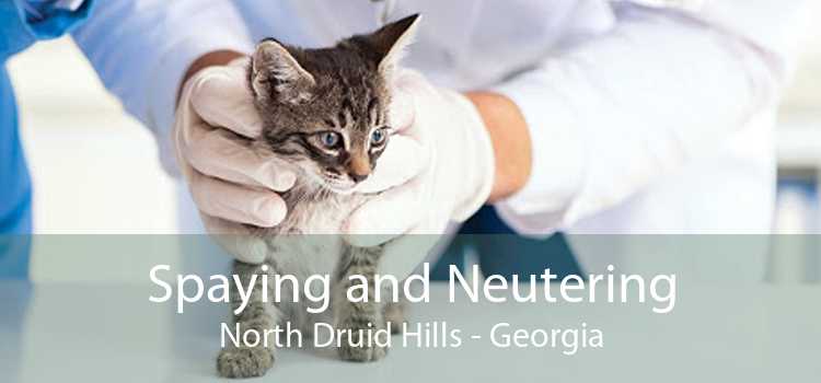 Spaying and Neutering North Druid Hills - Georgia