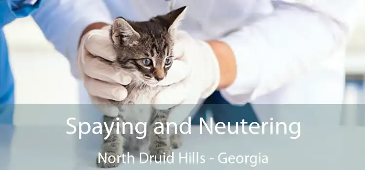 Spaying and Neutering North Druid Hills - Georgia