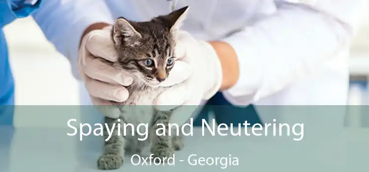 Spaying and Neutering Oxford - Georgia
