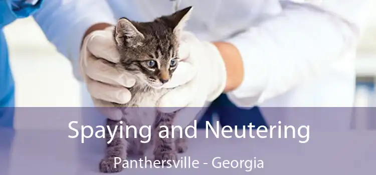 Spaying and Neutering Panthersville - Georgia