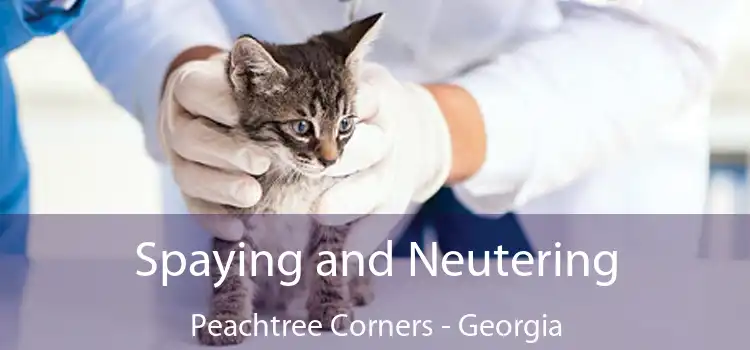 Spaying and Neutering Peachtree Corners - Georgia