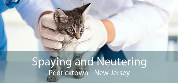 Spaying and Neutering Pedricktown - New Jersey