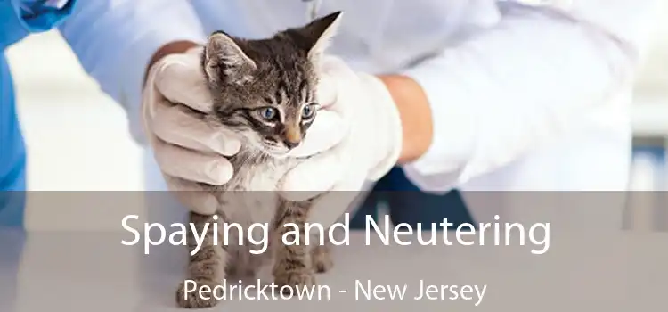 Spaying and Neutering Pedricktown - New Jersey