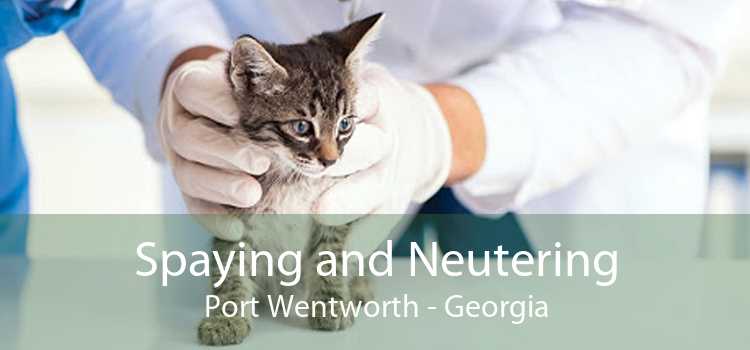 Spaying and Neutering Port Wentworth - Georgia