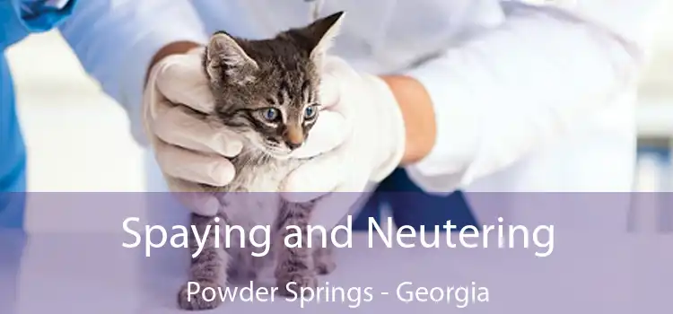 Spaying and Neutering Powder Springs - Georgia
