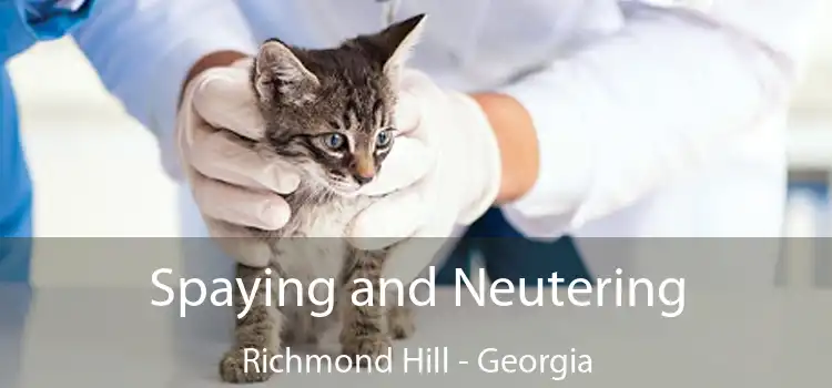 Spaying and Neutering Richmond Hill - Georgia