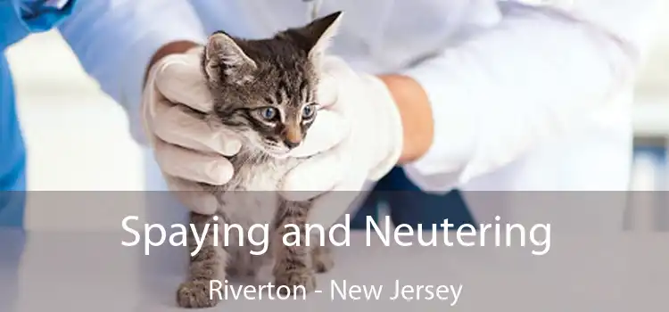 Spaying and Neutering Riverton - New Jersey