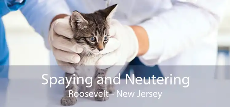 Spaying and Neutering Roosevelt - New Jersey
