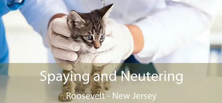 Spaying and Neutering Roosevelt - New Jersey