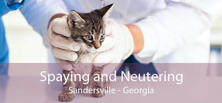Spaying and Neutering Sandersville - Georgia
