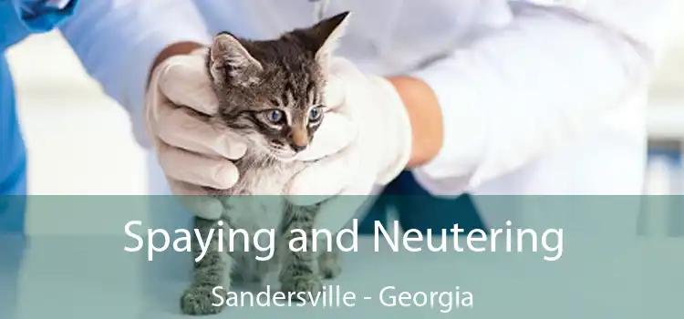 Spaying and Neutering Sandersville - Georgia