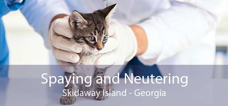 Spaying and Neutering Skidaway Island - Georgia
