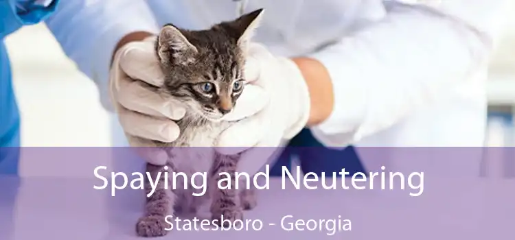 Spaying and Neutering Statesboro - Georgia