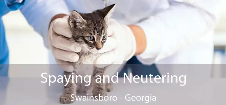 Spaying and Neutering Swainsboro - Georgia