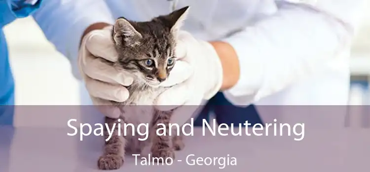 Spaying and Neutering Talmo - Georgia