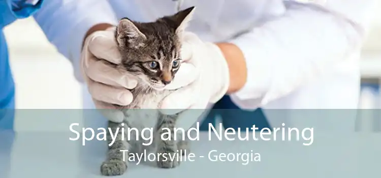 Spaying and Neutering Taylorsville - Georgia