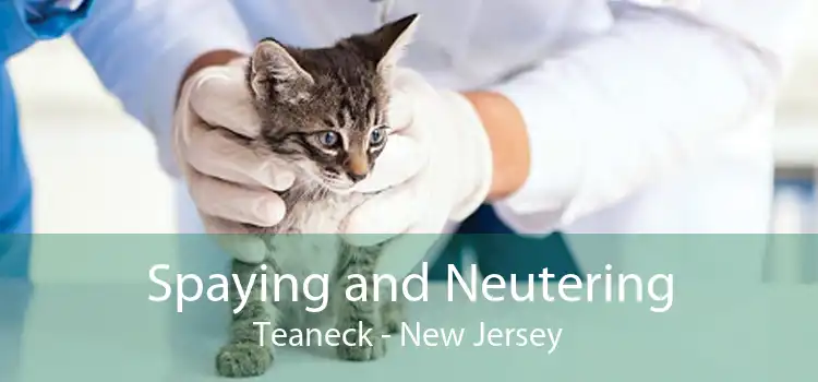 Spaying and Neutering Teaneck - New Jersey