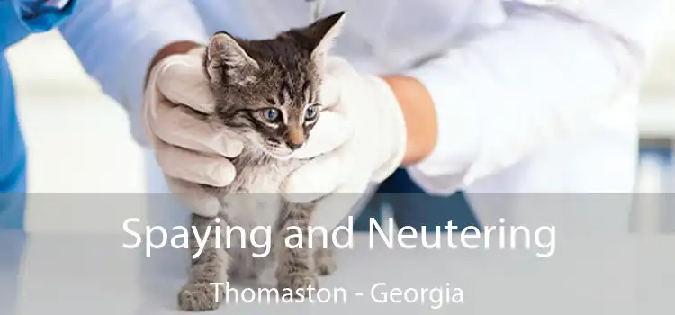 Spaying and Neutering Thomaston - Georgia