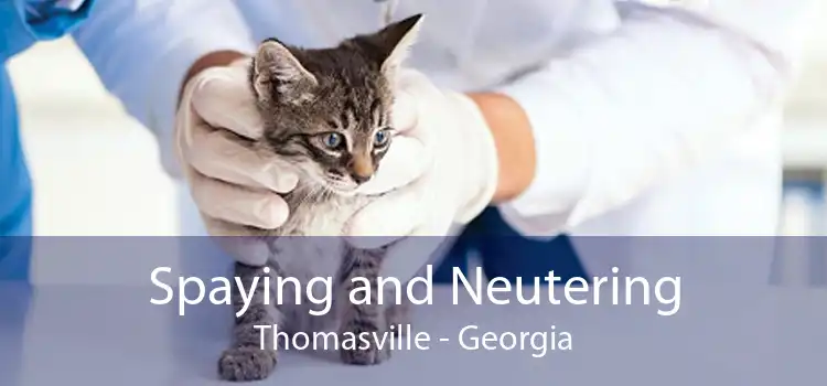 Spaying and Neutering Thomasville - Georgia