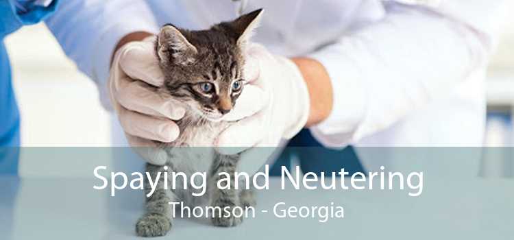 Spaying and Neutering Thomson - Georgia