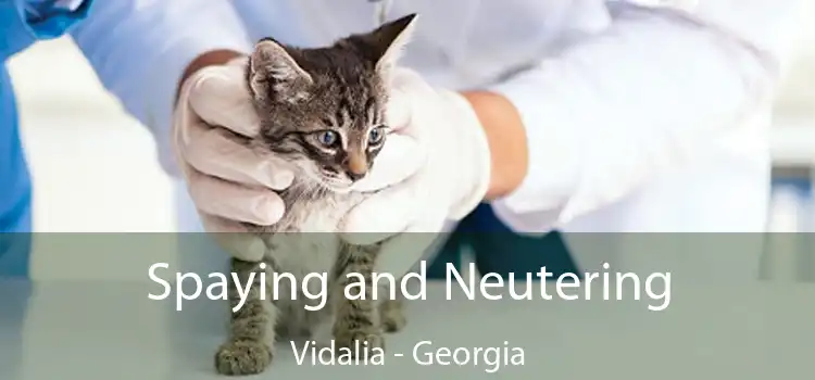 Spaying and Neutering Vidalia - Georgia