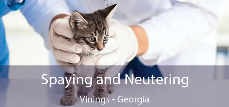 Spaying and Neutering Vinings - Georgia